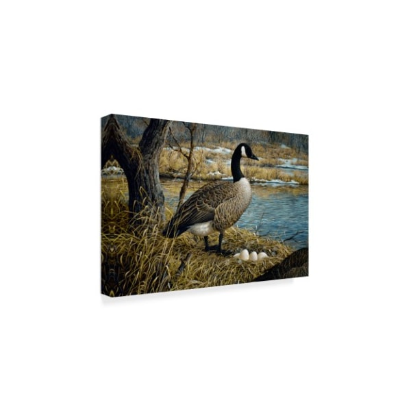 Jeff Tift 'Canadian Goose' Canvas Art,22x32